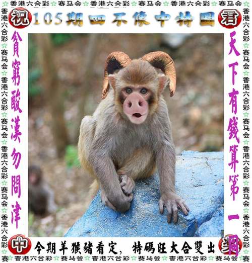 澳门彩龙门客栈解码图:200元干出20亿效果