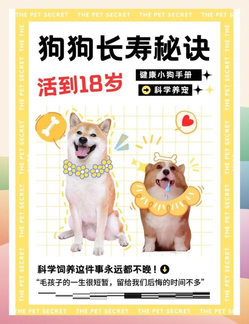 7777788888新版跑狗资料和腿粗屁股大者易长寿与腿粗屁股大长寿吗