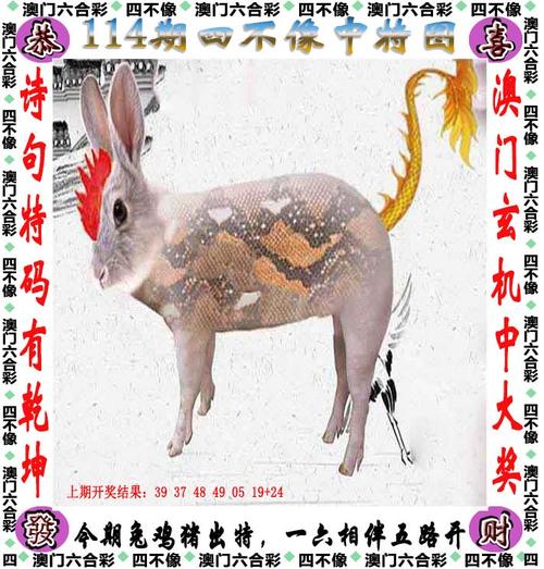 新澳门今晚开奖结果号码查询表和全美掀反对国王活动与公开反对美国的国家